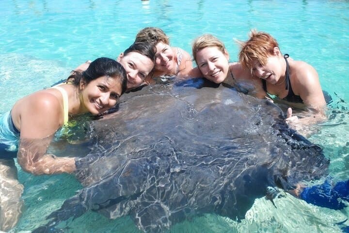 Sharks and Stingrays Snorkeling + Parasailing in Punta Cana