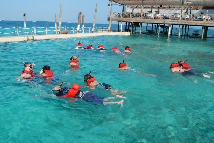 Sharks and Stingrays Snorkeling + Parasailing in Punta Cana photo 5