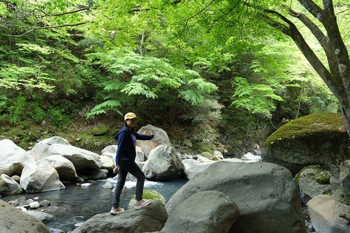 Hakone Valley Hike: Forest Bathing & 100-Year Wagashi Shop (Half-day)