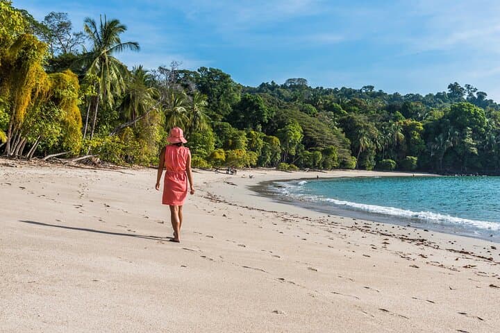 Manuel Antonio Wildlife Tour — Sloths, Monkeys & Beach Access