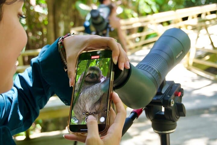 Manuel Antonio Wildlife Tour — Sloths, Monkeys & Beach Access photo 3