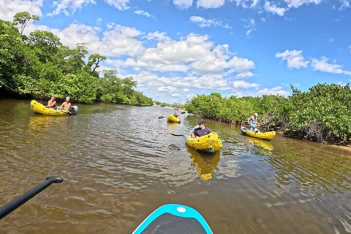 Paddle Fort Lauderdale Mangroves: Kayak & SUP Eco Adventure photo 5