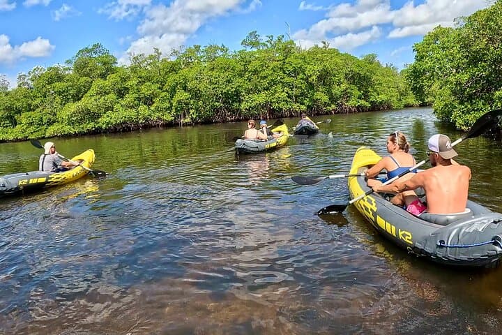 Paddle Fort Lauderdale Mangroves: Kayak & SUP Eco Adventure photo 2