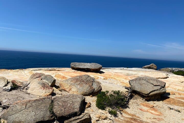 Half-Day Royal National Park Coastal Hike and Swim from Sydney photo 4
