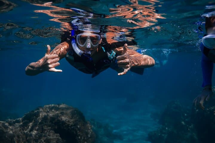 Wailea Wildlife & Turtle Town Snorkel — Lava-Field Coastal Adventure photo 3