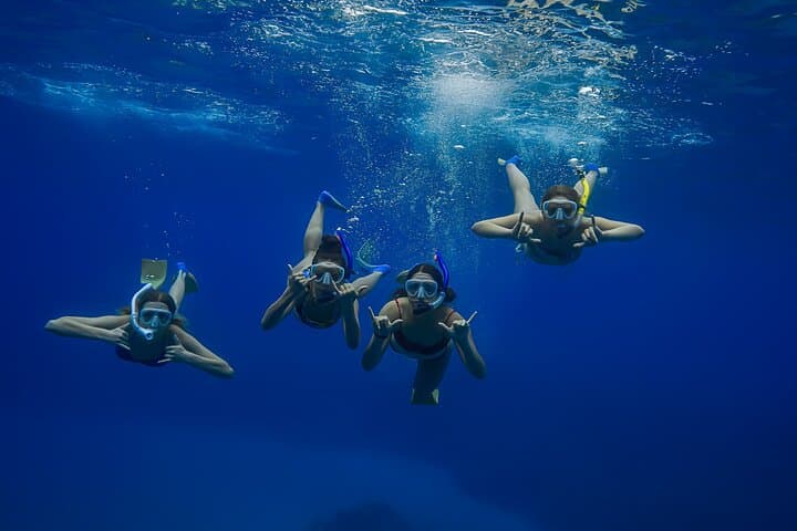 Wailea Wildlife & Turtle Town Snorkel — Lava-Field Coastal Adventure photo 2
