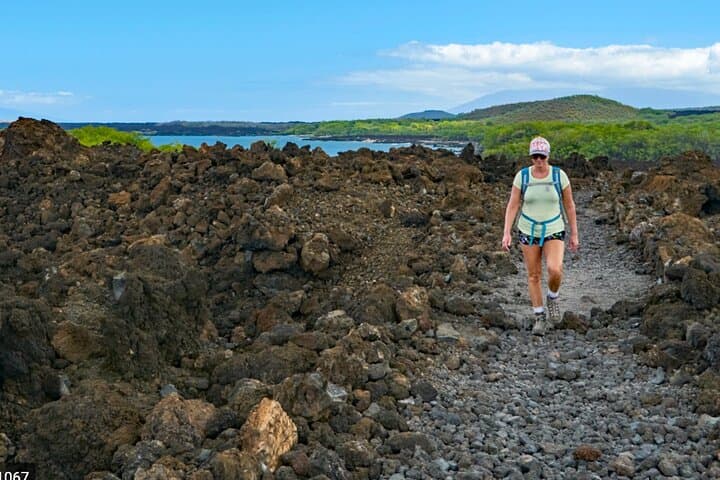 Wailea Wildlife & Turtle Town Snorkel — Lava-Field Coastal Adventure photo 4