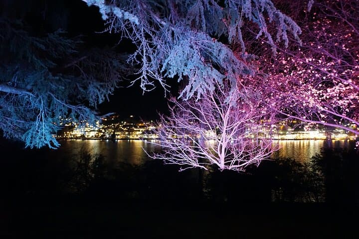 Queenstown After Dark: Private Skyline and Lakeside Night Tour photo 6