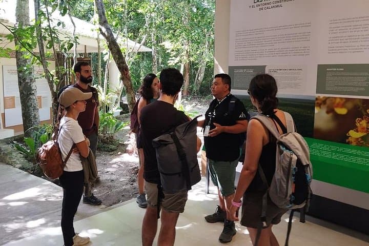 Calakmul Expedition: Jungle Trek & Mayan Ruins from Bacalar or Chetumal photo 3