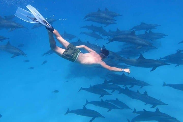 Hurghada Private Red Sea Snorkeling Tour: Giftun, Dolphin House & Orange Bay photo 2