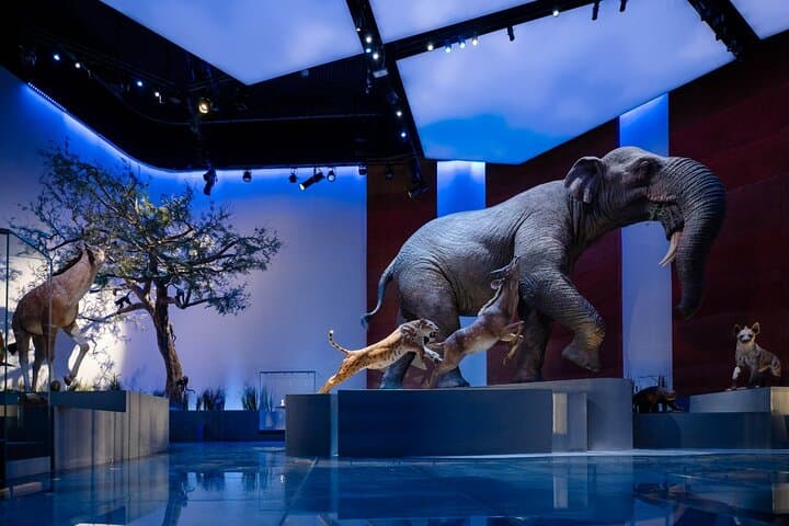 Zayed National Museum Abu Dhabi: Admission & Visitor Guide photo 3