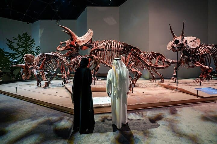 Zayed National Museum Abu Dhabi: Admission & Visitor Guide
