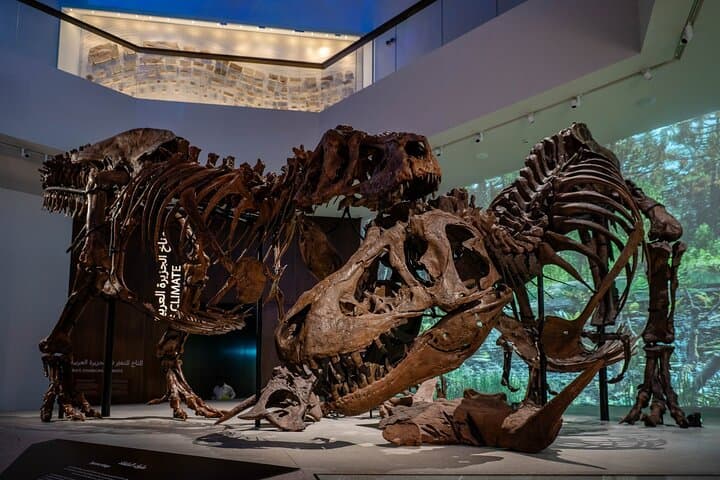 Zayed National Museum Abu Dhabi: Admission & Visitor Guide photo 6