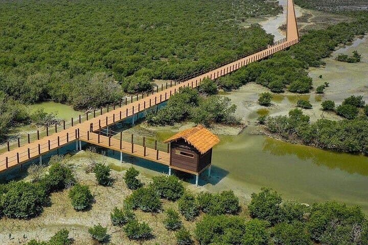 Full-Day North & West Qatar Tour: Zubarah, Mangroves, Zekreet and Brouq photo 4