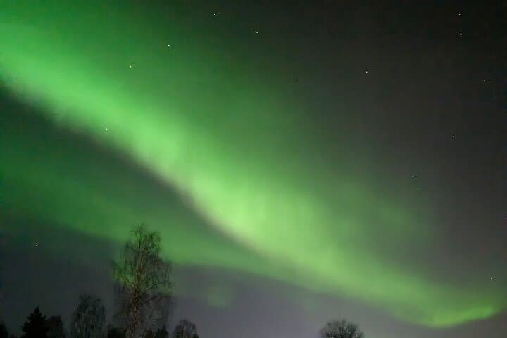 Northern Lights Walk to Old Kemi: Frozen Sea Trek & Campfire Aurora Viewing photo 4
