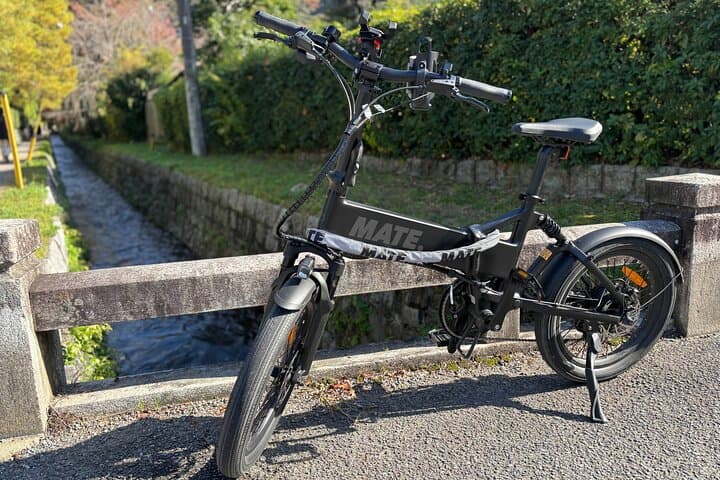 E-Bike Through Higashiyama: Kyoto Heritage and Temple Highlights