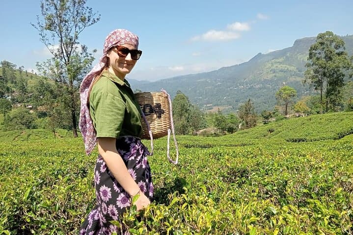 Nuwara Eliya Tuk-Tuk Tea Plantation & Waterfall Tour — Scenic Day Trip photo 4