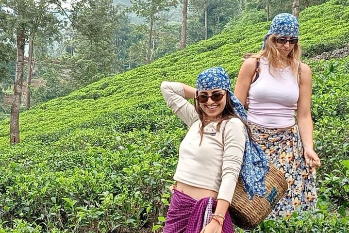 Nuwara Eliya Tuk-Tuk Tea Plantation & Waterfall Tour — Scenic Day Trip photo 5