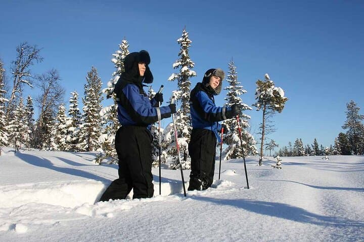 Snowshoe Trek in Kiruna's Snowy Forest: Arctic Snowshoeing and Fika photo 2