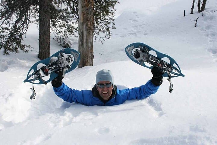 Snowshoe Trek in Kiruna's Snowy Forest: Arctic Snowshoeing and Fika