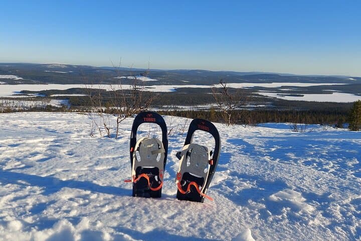 Snowshoe Trek in Kiruna's Snowy Forest: Arctic Snowshoeing and Fika photo 4