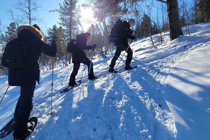 Snowshoe Trek in Kiruna's Snowy Forest: Arctic Snowshoeing and Fika photo 5