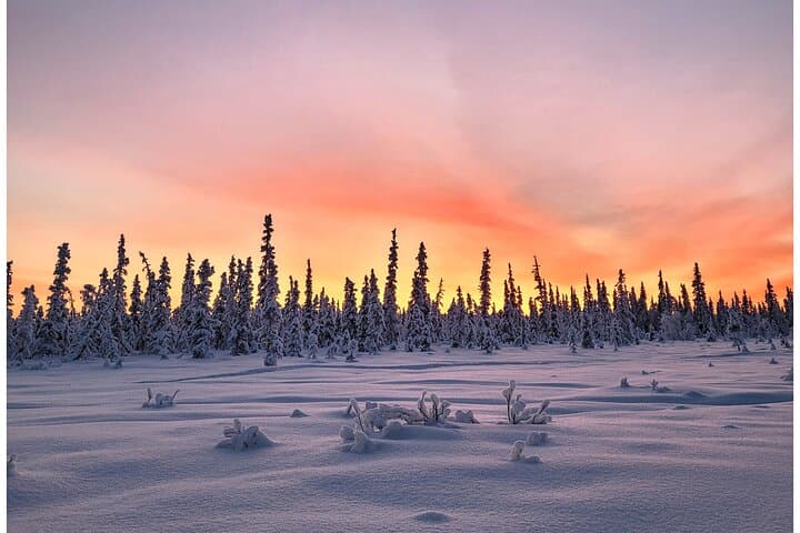 Snowshoe Trek in Kiruna's Snowy Forest: Arctic Snowshoeing and Fika photo 6