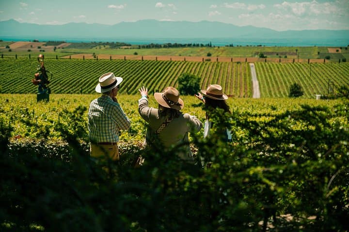 Thessaloniki Wine Journey to Ktima Gerovassiliou: Vineyard Tour & Tasting photo 3