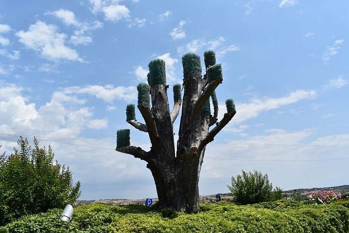 Thessaloniki Wine Journey to Ktima Gerovassiliou: Vineyard Tour & Tasting photo 4