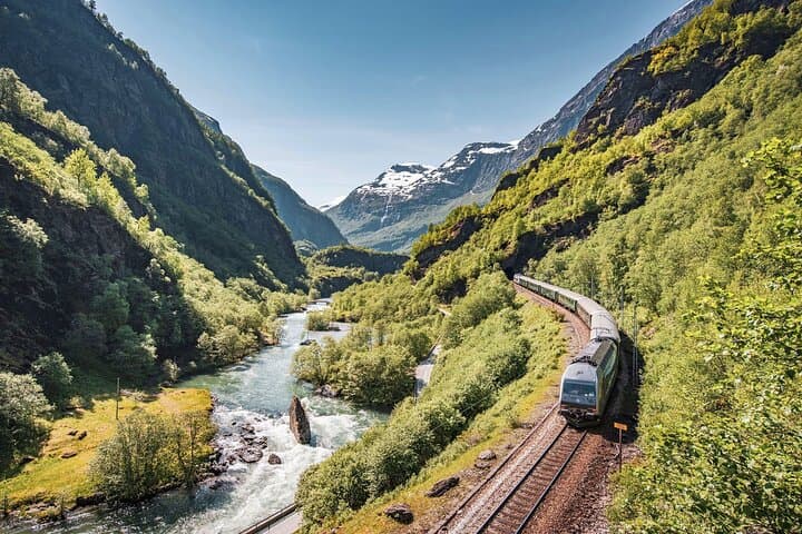 Flåm Railway & UNESCO Nærøyfjord Cruise: Day Trip from Bergen