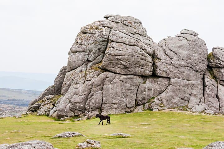 Private Full-Day Dartmoor Adventure: Grimspound, Wistman's Wood & Hound Tor photo 6