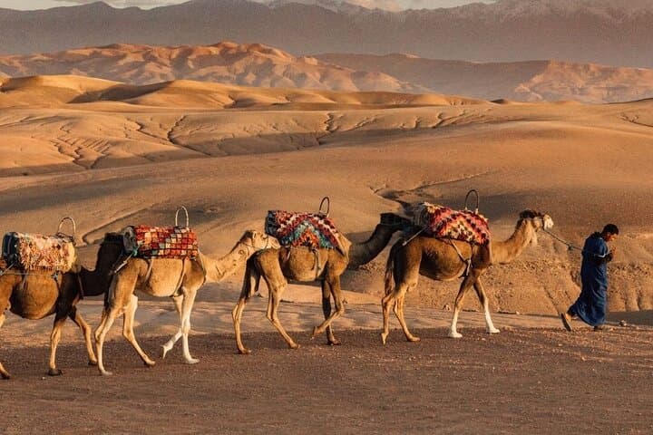 Agafay Desert Quad & Camel Experience with Dinner Show — Marrakech Evening Adventure photo 4