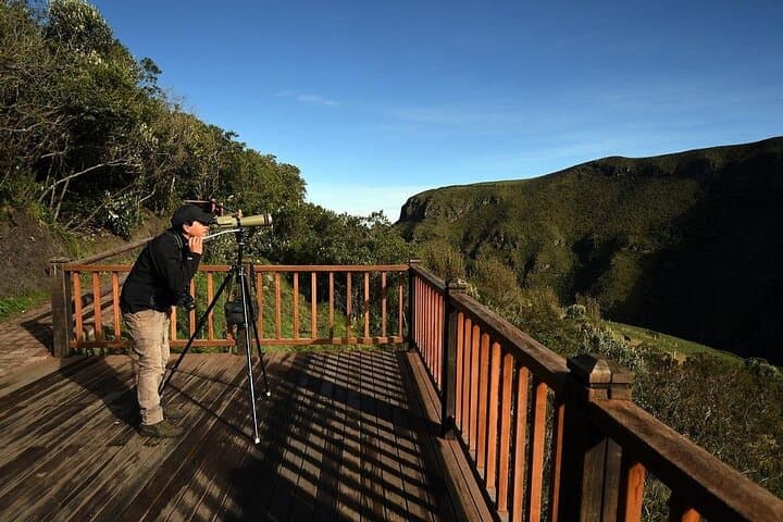 Antisana Volcano Condor Watching: Private Andes Birding Experience from Quito