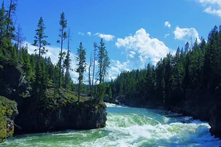 Yellowstone Full-Day Private Tour and Hike — Inside-the-Park Geysers, Canyon & Wildlife photo 3