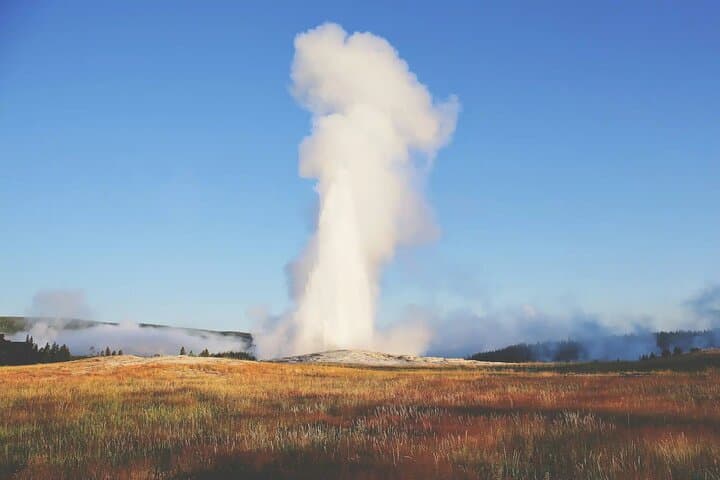 Yellowstone Full-Day Private Tour and Hike — Inside-the-Park Geysers, Canyon & Wildlife photo 6