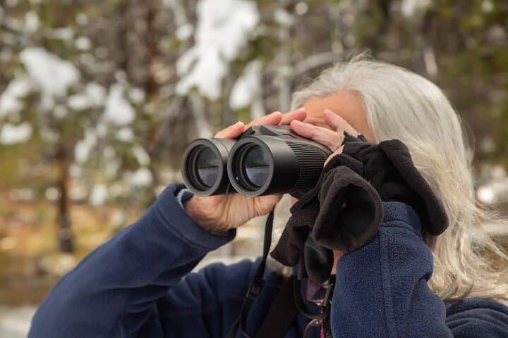 Yellowstone Full-Day Private Tour and Hike — Inside-the-Park Geysers, Canyon & Wildlife photo 4