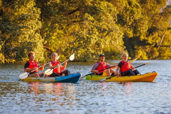 Glow Worm Kayak Tour Rotorua: Night Paddle to Hidden Caverns photo 3