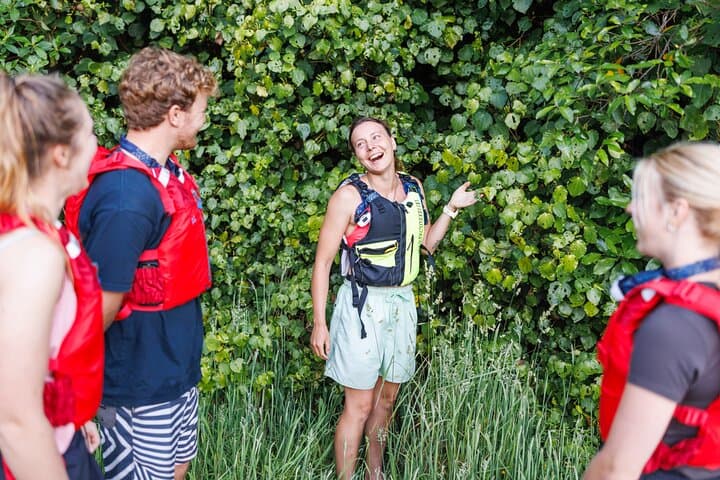 Glow Worm Kayak Tour Rotorua: Night Paddle to Hidden Caverns photo 6