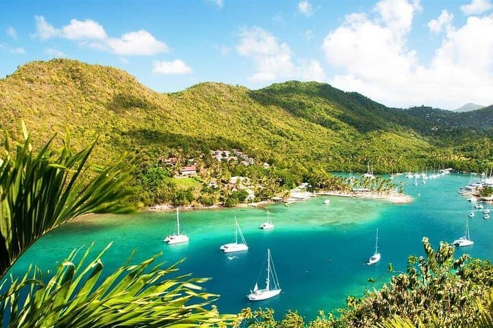 Private Land-and-Sea Speed Boat Tour to Soufriere: High-Speed Snorkel & Pitons Visit photo 5