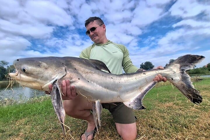 Predator Fishing on the Chaophraya: Catfish, Snakehead & Barramundi Day Trip photo 4