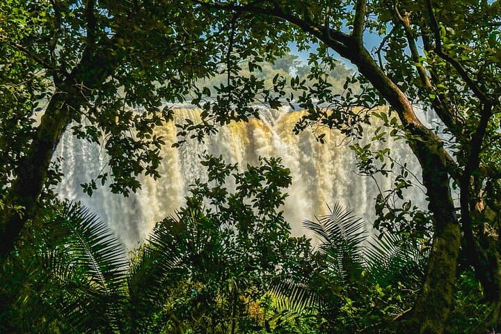 Sunset Walk at Victoria Falls: Guided Tour on Zimbabwe's Side