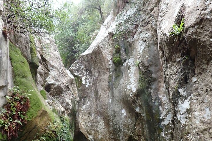 Beginner Canyoning in Mallorca: Na Mora Canyon Adventure from Sóller photo 6