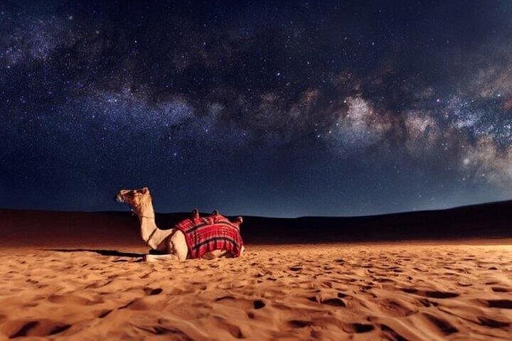 Doha Night Desert Safari: Dune Bashing, Stargazing & Inland Sea Adventure