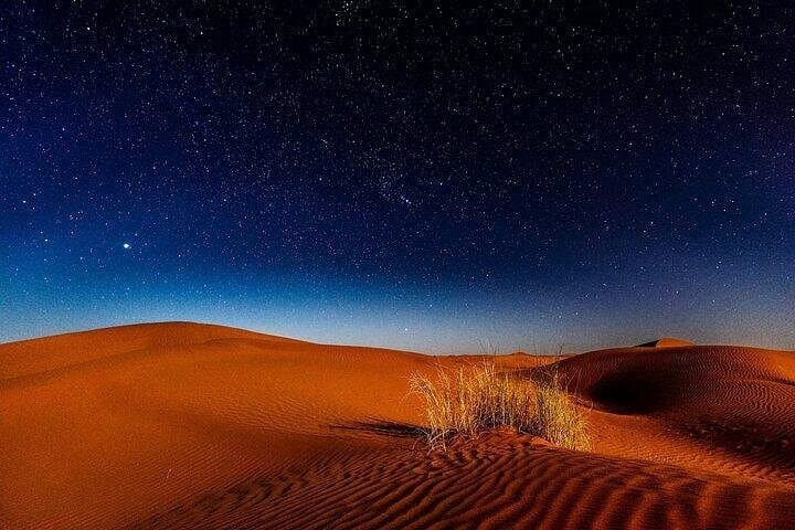 Doha Night Desert Safari: Dune Bashing, Stargazing & Inland Sea Adventure photo 3