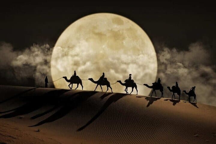 Doha Night Desert Safari: Camel Ride, Dune Bashing & Sealine Beach After Dark