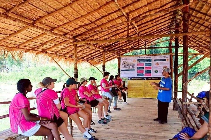 Chiang Mai Elephant Sanctuary & Wang River Bamboo Rafting — Observation, Culture, and Calm photo 3