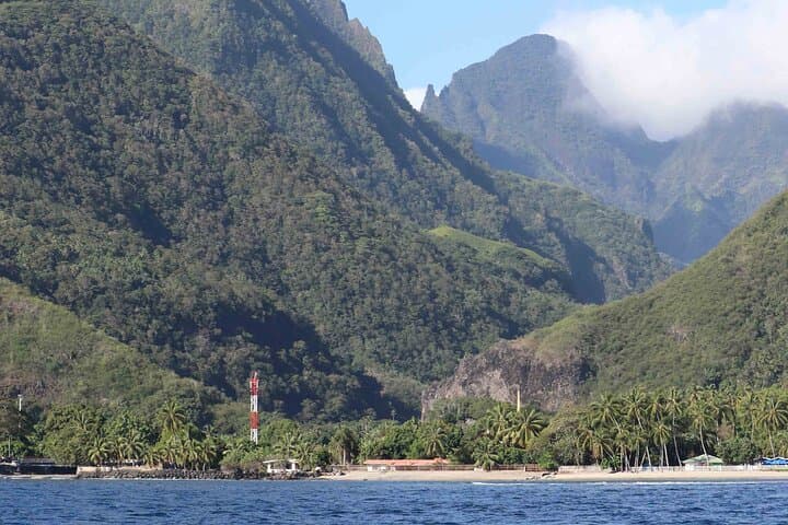Tahiti Whale Watching from Paea: Small-Boat Humpback Safaris photo 6