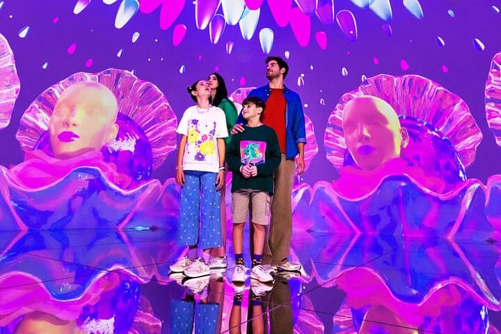 House of Hype Dubai Mall: Immersive Interactive Playground Ticket with Pickup