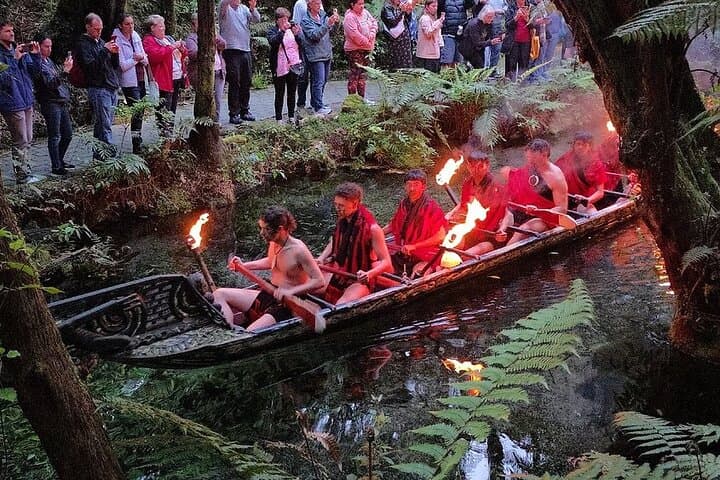 Rotorua Private Day Tour: Kiwi Hatchery, Māori Village, HellsGate & Redwoods TreeWalk photo 4