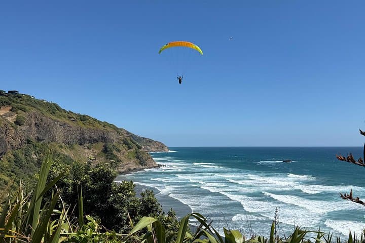 Private Muriwai Gannet Colony Tour: West Coast Black Sand & Wildlife Viewing photo 2
